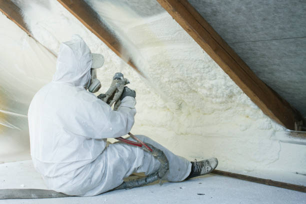 Best Batt and Roll Insulation in Eastwood, LA